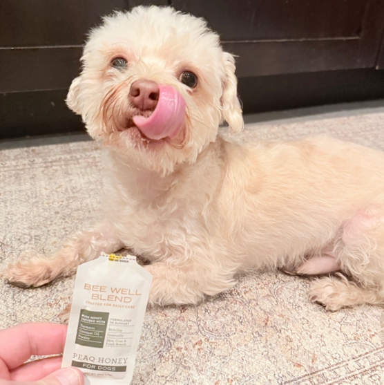 Peaq Bee Well Blend-Functional Honey with Botanical Infusions for Dogs